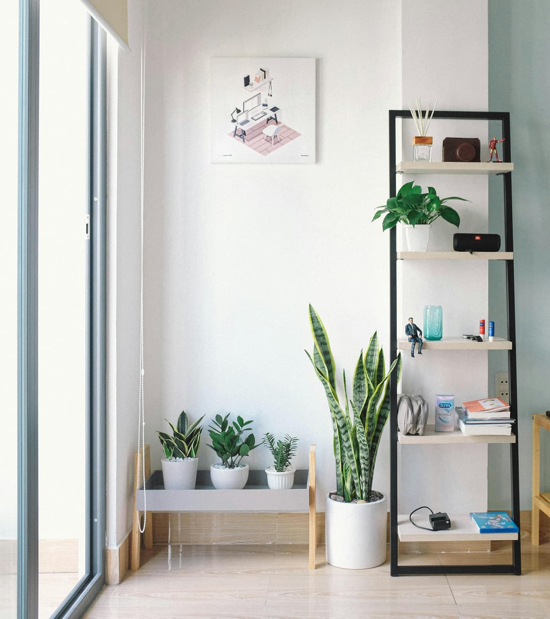 Clean Indian Home